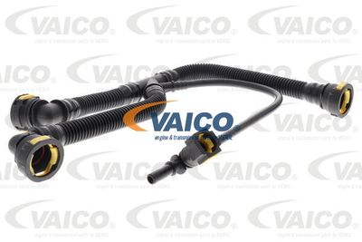 Шланг, вентиляция картера VAICO V42-0854 для CITROËN BERLINGO