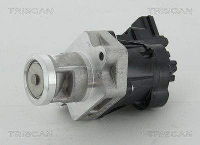 SUPAPA EGR TRISCAN 881324083