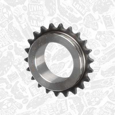 ROATA DINTATA ARBORE COTIT