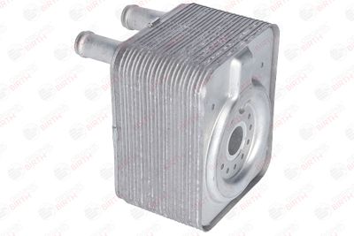 RADIATOR ULEI ULEI MOTOR BIRTH 8917 5