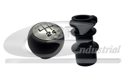 MACIULIE MANETA SCHIMBAT.VIT.