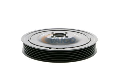 FULIE CUREA ARBORE COTIT VAICO V401481 52