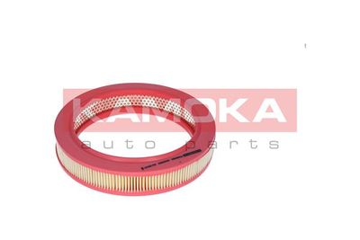 Air Filter F208301