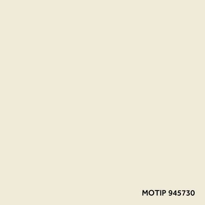 MOTIP - Kompaktný autolak, pero Biela M945730 12ml