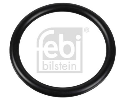GARNITURA TERMOSTAT FEBI BILSTEIN 174322