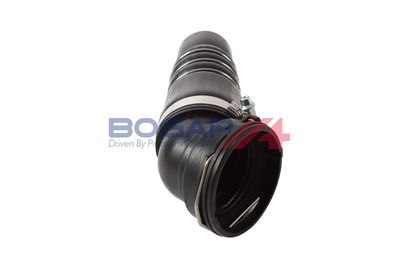 FURTUN EAR SUPRAALIMENTARE BOGAP B1711217 3