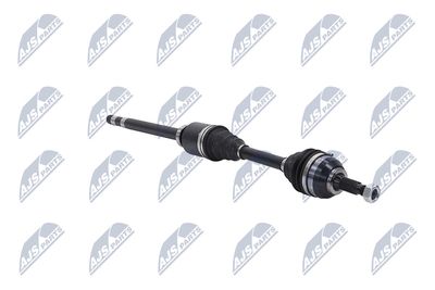 PLANETARA NTY NPWCT026 12