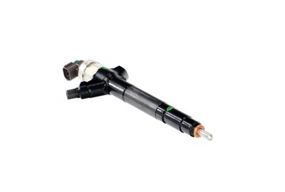 INJECTOR REMANTE 002003000087R 52