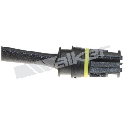 LAMBDASONDE WALKER PRODUCTS 250241086 3