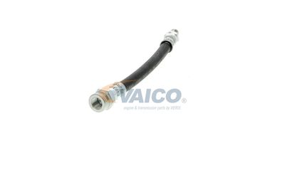 FURTUN FRANA VAICO V249644 17