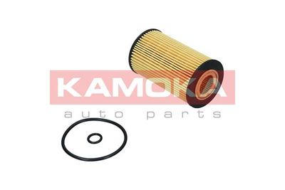 Oil Filter F119701