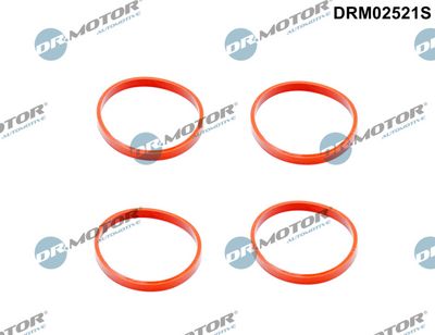 SET GARNITURI GALERIE ADMISIE Dr.Motor Automotive DRM02521S