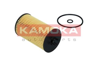 Oil Filter F119701