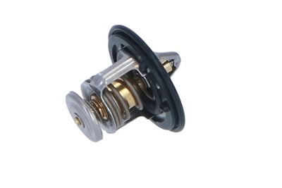 TERMOSTAT LICHID RACIRE NRF 725143 34