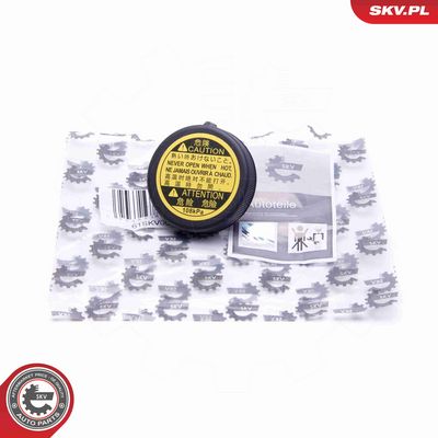 BUSON VAS EXPANSIUNE ESEN SKV 61SKV008