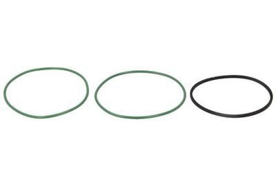 Cilinderbus O-ring