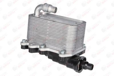 RADIATOR ULEI ULEI MOTOR BIRTH 80111 8