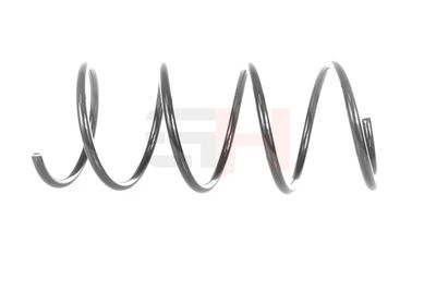 ARC SPIRAL GH GH203300 30