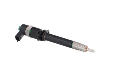INJECTOR REMANTE 002003000196R 48
