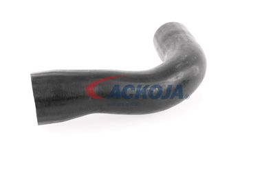 FURTUN EAR SUPRAALIMENTARE ACKOJA A389600 29