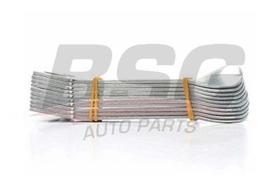 BSG BSG 30-975-022 BSG BSG 30-975-022