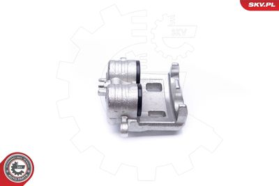 Brake Caliper 42SKV441