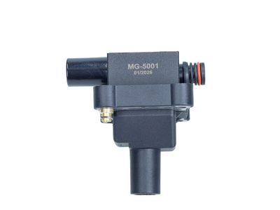 MAXGEAR Ritė, uždegimas