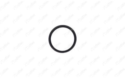 Bague d'étanchéité, gaine de suralimentation