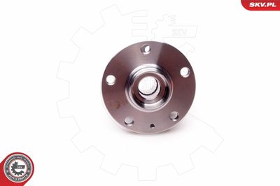 Wheel Bearing Kit 29SKV040