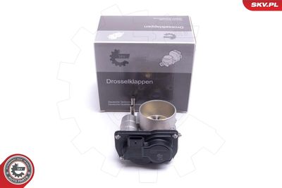 Throttle Body 12SKV122