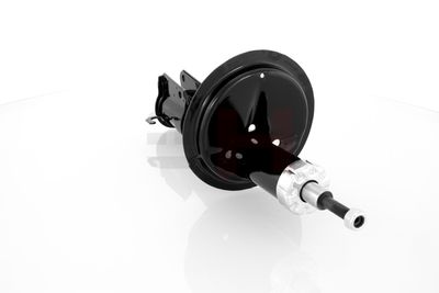 AMORTIZOR GH GH322352 20