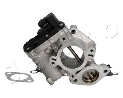 EGR Valve 150113