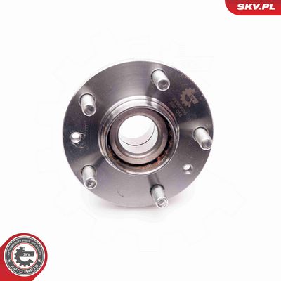 SET RULMENT ROATA ESEN SKV 29SKV036 3