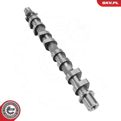 ESEN SKV - Vačkový hriadeľ MERCEDES-BENZ, NISSAN, RENAULT, DACIA , 80SKV079