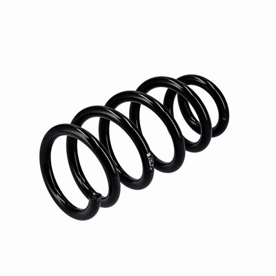ARC SPIRAL EIBACH R10603 4