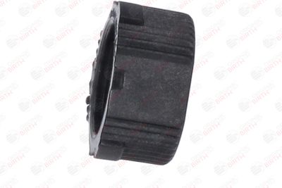 BUCSA ARBORE DE DIRECTIE BIRTH 4339 10