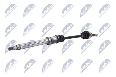 PLANETARA NTY NPWFR028 3