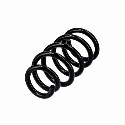 ARC SPIRAL EIBACH R10603 15