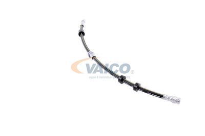 FURTUN FRANA VAICO V101320 35