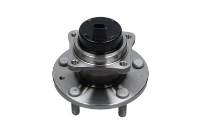 Kavo Parts Rato guolio komplektas