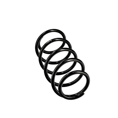 ARC SPIRAL EIBACH R10344 12