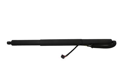 Galinių durų elektros variklis