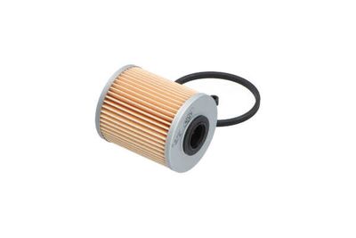 FILTRU COMBUSTIBIL AMC Filter NF2481 21