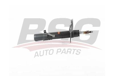 BSG BSG 15-300-050 Амортизаторы  для LAND ROVER FREELANDER I Soft Top (L314) 2.0 DI 4x4
