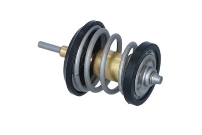 TERMOSTAT LICHID RACIRE NRF 725250 17