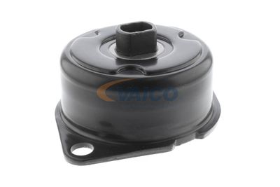 INTINZATOR CUREA CUREA DISTRIBUTIE VAICO V103415 51