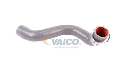 FURTUN EAR SUPRAALIMENTARE VAICO V460823 14