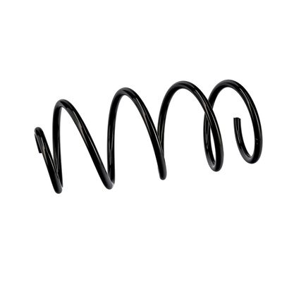 ARC SPIRAL EIBACH R10489 6