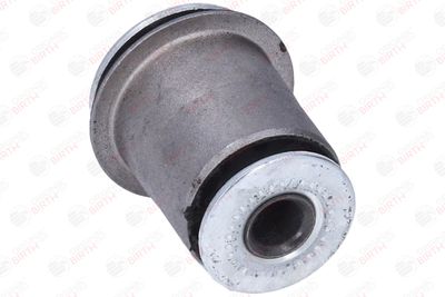 SUPORT TRAPEZ BIRTH 2913 5