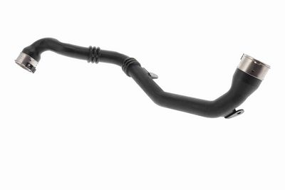FURTUN EAR SUPRAALIMENTARE ACKOJA A380815 2